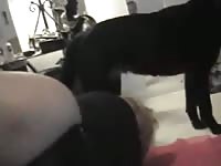 Bd dog bitch now 1 porno dog sex with dog porn with animals animals porno dogsex all animal porn
