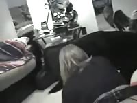 Bd dog forplay dog fuck girl sex with dog animal porn animal sex porn animals porn zoo