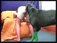 Bfi young girls dog dream apdv102 zoo porn dog sex dog xxx animal sex