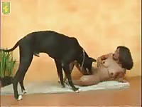Black dog and morena animal fuck sex with dog zoo porno zoo porno video girl fucks dog zooporn