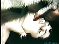 Blue angel 1 dog porno zoo sex video porno zoo animal sex sex zoo porn zoo