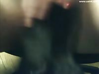 Chubby webcam pussy getting licked by her dog