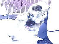Dinos outdoor adventure zoo porn sex with dog dog xxx animal sex