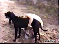 Dog danish pet 2 free zoo sex zoo sex video animal sex videos animals porn zoosex all animal porn