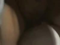 Dog doing girl in a bar zooporn dog sex dog xxx dog fucks girl