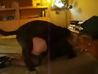 Dog fucking dog fuck girl animal porno zoo porno animals porno porn animals dog cum