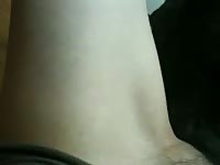 Dog fucking dog fuck girl animal sex video porno zoo animalsex dog sex video dog xxx