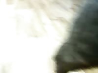 Dog fucking free zoo sex porn with dog zoo porno animal sex zoo sex porn animal