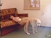 Dog fucking sucking zoo porn dog sex beastiality animal sex