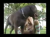 Dog movies 4 zooporn zoo porn dog porn dog sex