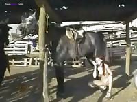 Andy and horse