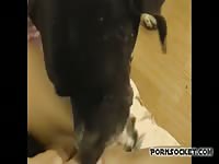 Andy private drinking dog cum