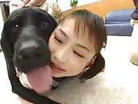 Japanese turned on by black dog cock in beastiality hentai