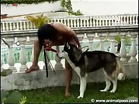 Beastialityloving com video12 siterip