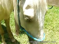 Super hot farm girl stars in horse porn