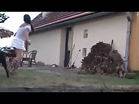 Big black dog burying his cock deep in widow amateur pussy