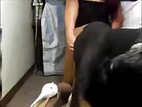 Bitch trans fucking dog