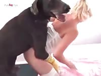 Black dog fucks asian and blonde sluts