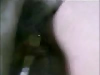 Blonde of her pussy to his naughty and needy dog for sex