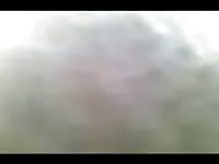 Boy fucking pussy mule on the farm the bastard got his cock hard in the pussy of the little mule and enjoyed it in the