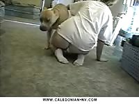 Caledonian nv big butt girl and her boxer