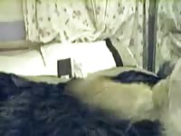 Caledonian nv in bed witch shylark 2