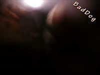 Canines bad dog animals fucking humans petsex com siterip