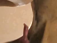 Canines dog love animals fucking humans petsex com siterip
