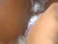 Dog fucking black girl