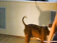 Dog fucks russian mature asshole