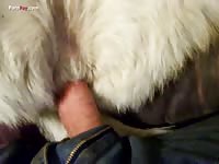 Gay Beast Com Men And Animals Husky3 - Zoophilia Porn Video With Boy