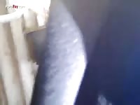 GayBeast Rip Men And Animals I 1795 One Of My Mare - Zoophilia Sex Video With Men