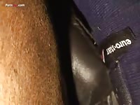 Gay Beast Com Men And Animals Jan S Mares 5 - boy Fucks Animal