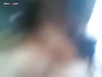 GayBeast.com Men And Animals Making A New Littler Of Puppies - Dude Fucks Pet