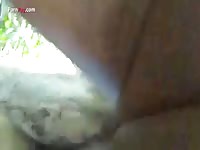GayBeast Men And Animals Man 1795 Donkey Part 2 - Men Fucks Pet