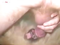 GayBeast Rip Men And Animals Man 1795ing 2795 Dog - boy Fucks Pet