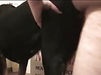 Gay Beast Com Men And Animals Man 1795s A Dog - Man Fucks Pet