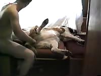 GayBeast.com Men And Animals Man And Dog Part 2 - Animal Sex Tube With Men