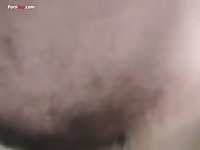 GayBeast Rip Men And Animals Man Banging Malamute - Beastiality Dude
