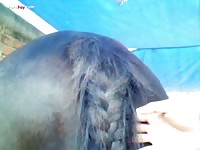 GayBeast.com Men And Animals Mare 2795 - Beastiality Men