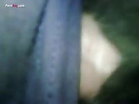 GayBeast Rip Men And Animals Mini Mare Gets A Deep 1548 - Dude Fucks Pet