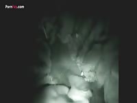 GayBeast.com Men And Animals Night Cam Sheep 1795 1 - Man Fucks Animal