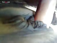 GayBeast.com Men And Animals Pony Mare Love From Behind - Animal Sex Tube With Man