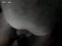 GayBeast Rip Men And Animals Quick Mare 1795 - Men Fucks Pet