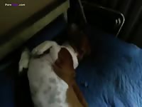 GayBeast.com More B1166et 2