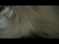 Gay Beast Com My Calf Loves It Gay Zoo Porn Petlust Men Fuck Animals- Zoophilia Sex Video With Dude