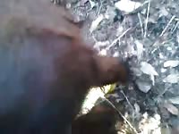 GayBeast My First Time With Pony Gay Zoo Porn Petlust Men Fuck Animals- Zoophilia Men