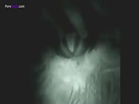 GayBeast Night Cam Sheep Fuck 1