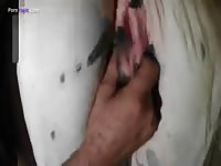 GayBeast.com Playing With A Dog Pussy