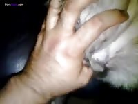 GayBeast Playing With A Juicy Pussy
